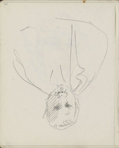 Figure, half-length