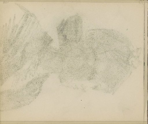 Impression of the chalk drawing on sheet 7 recto
