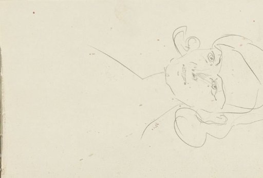 Woman's head