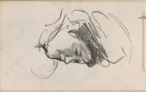 Woman's head with headdress