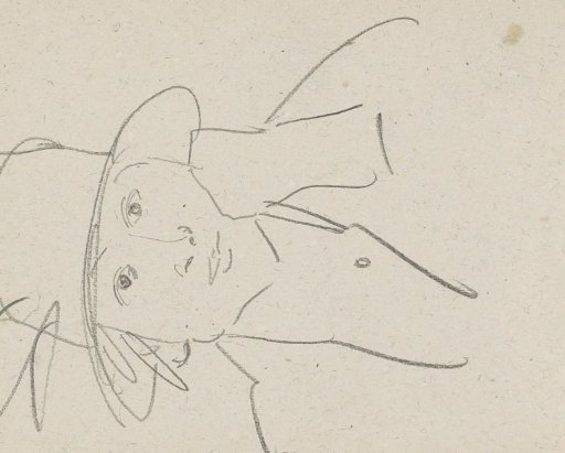 Portrait of an unknown woman with a hat