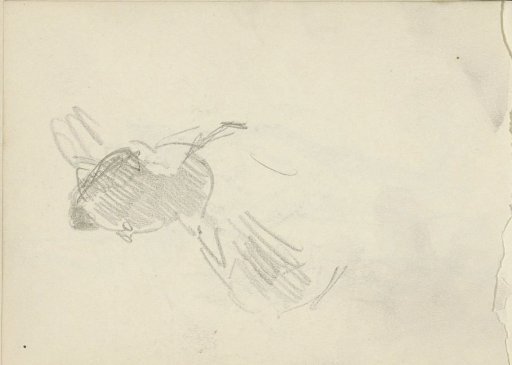 Woman with a hat, seen from behind
