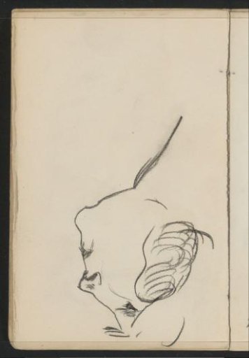 Woman's face, in profile