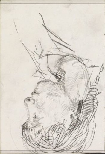 Young woman, in profile