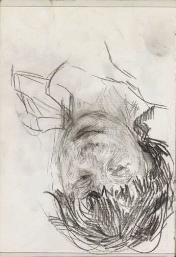 Woman's head