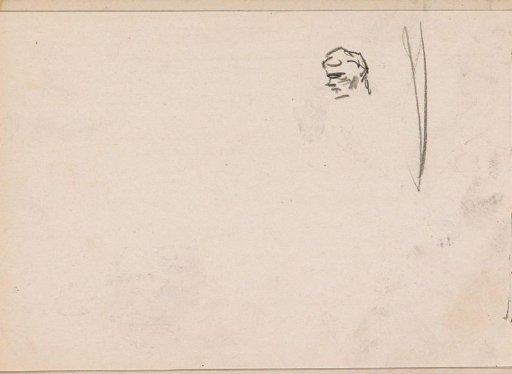 Head, in profile