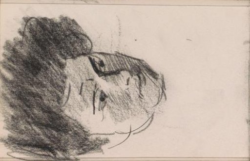 Woman's head