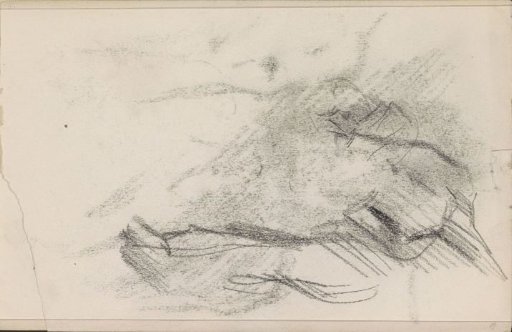 Study