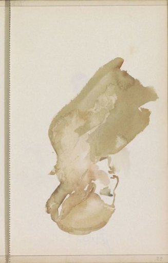 Woman, in Profile