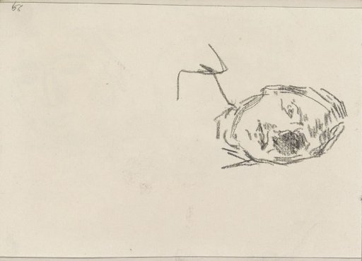 Woman's head