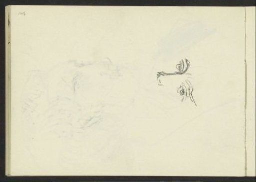 Nose and Eyes, Possibly of a Woman