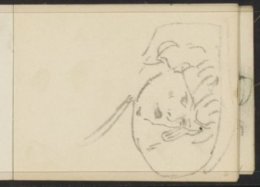 Rubbing of the Chalk Drawing on Sheet 5 Verso