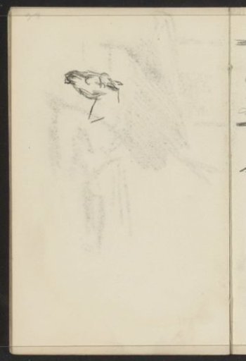 Horse's head