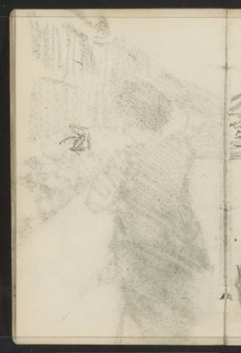 Study