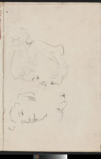 Female head in various views