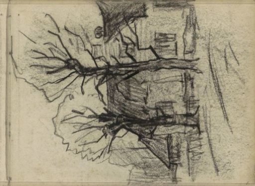 Two trees in front of a rural dwelling
