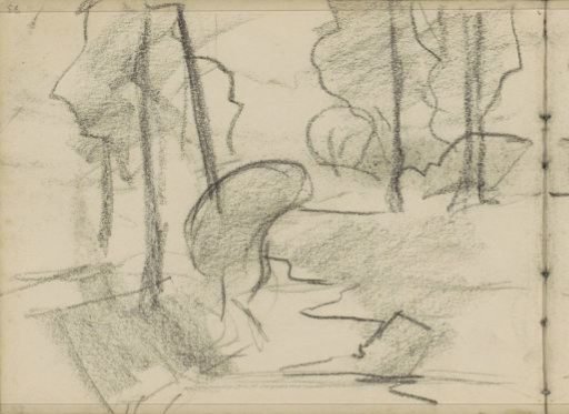 Landscape, possibly a forest path