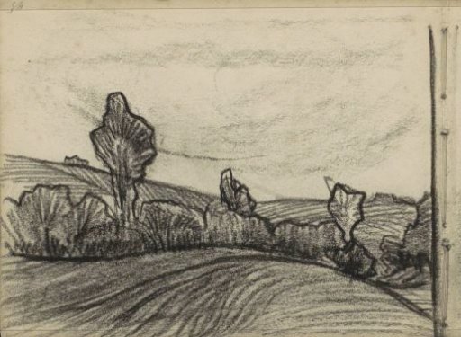 Hilly landscape with trees