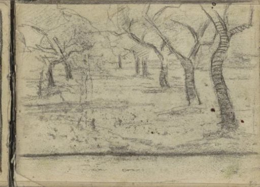 Orchard