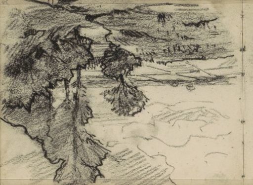 Meadows and trees