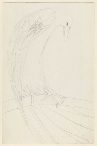Bird of Prey on a Branch