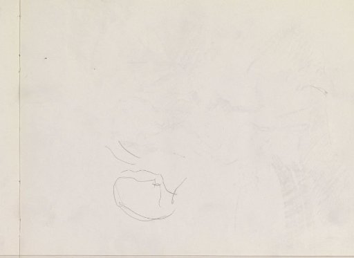 Woman's Head
