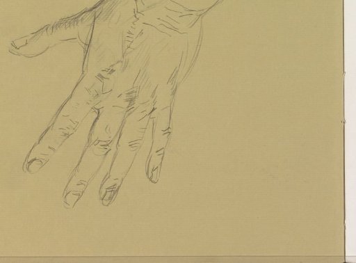 Hand met gespreide vingers