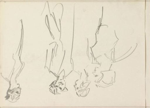 Four standing women
