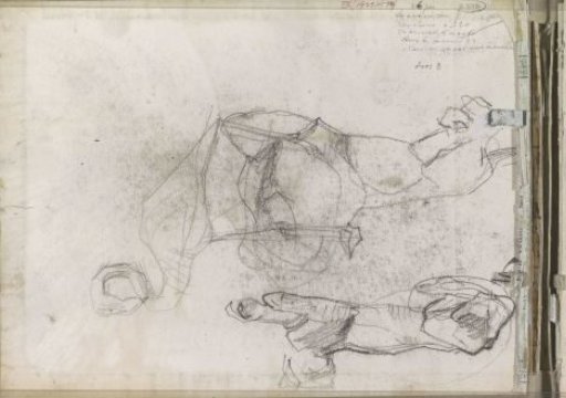 Lion, flamingo and possibly a lioness