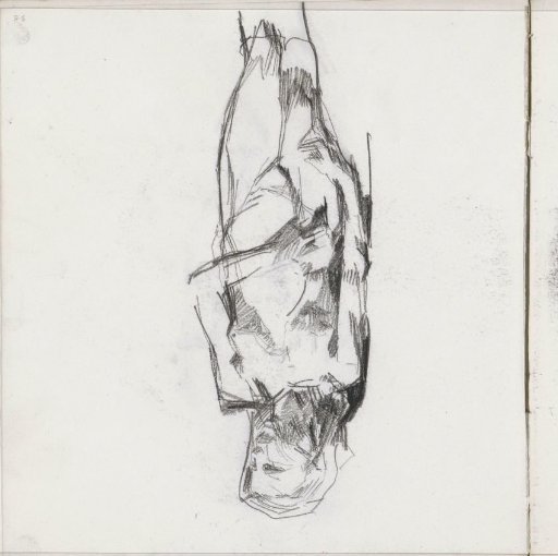 Standing Female Nude