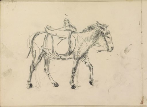 Saddled donkey