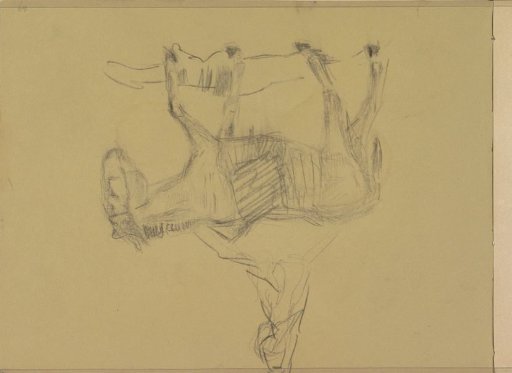 Woman on a donkey