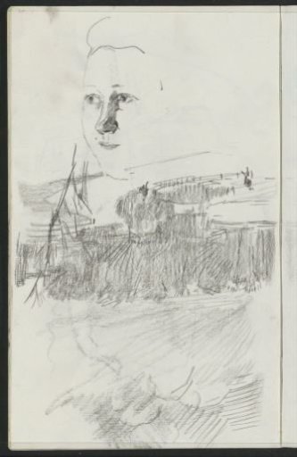 Woman's Head and a Park View