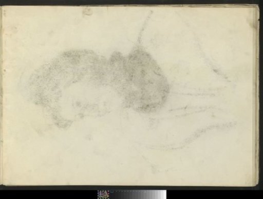 Copy of the chalk drawing on sheet 2 verso