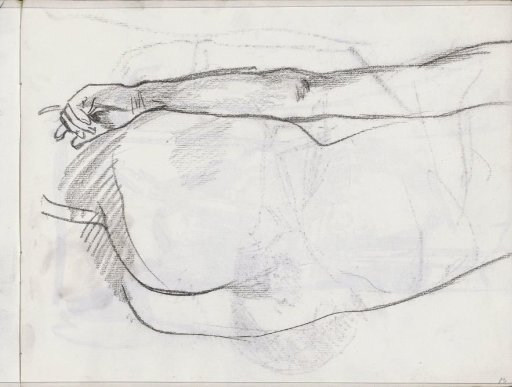 Reclining female nude, seen from the back