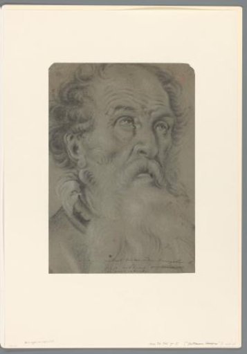 Head of an Old Man with Beard, Looking Upwards