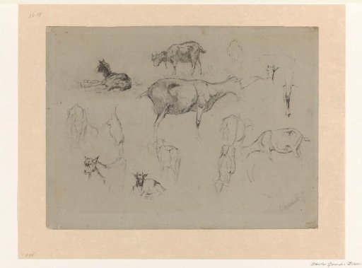 Sketch sheet with studies of goats