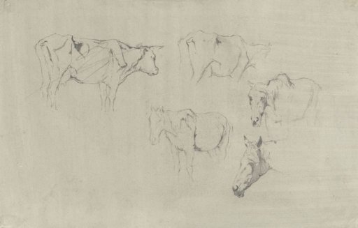 Two Studies of a Cow and Three of a Horse