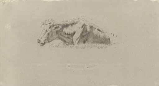 Reclining Cow, Facing Left
