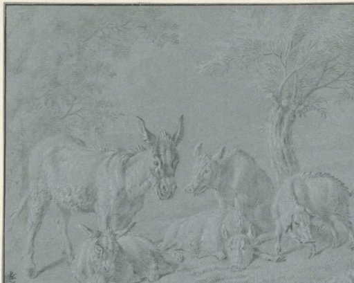 Pigs and donkeys under trees