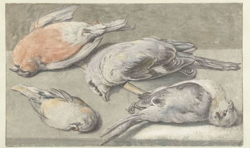 Still Life with Four Dead Birds