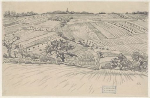 Hilly landscape with cornfields