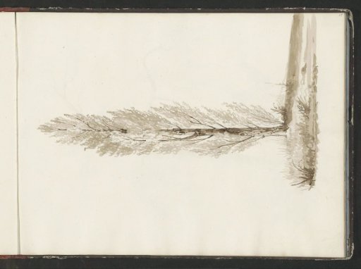 Landscape with a tree