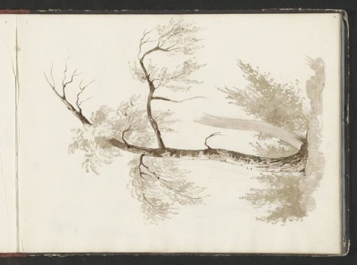 Landscape with a tree