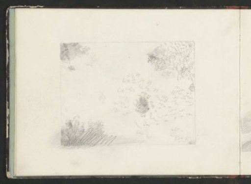 Landscape with grass and foliage