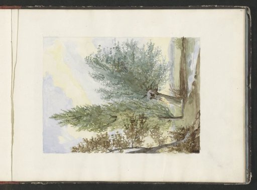 Landscape with trees on a waterfront