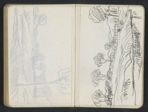 Landscape with trees