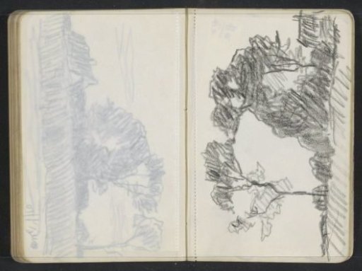 Landscape with a house and trees
