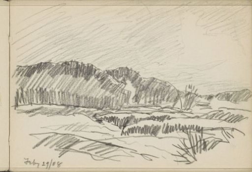 Dune landscape