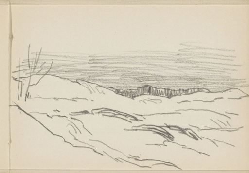 Dune landscape